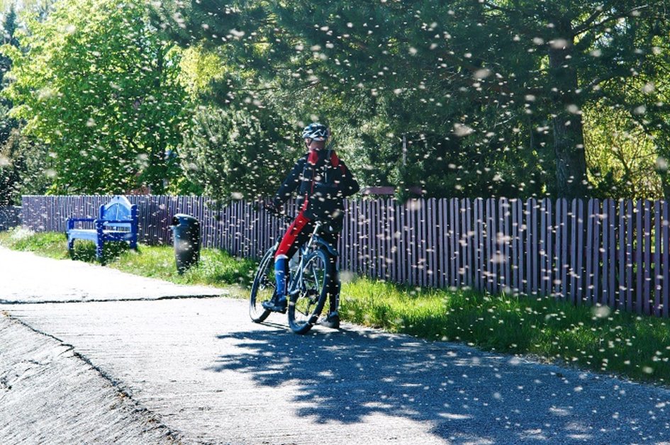 5 τρόποι για να προστατευτείτε από τα έντομα στο ποδήλατό σας>