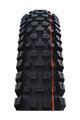 SCHWALBE κάπες - ALBERT GRAVITY PRO 29x2.50 EVOLUTION 67EPI - μαύρο