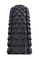 SCHWALBE κάπες - ALBERT GRAVITY PRO 29x2.50 EVOLUTION 67EPI - μαύρο