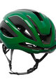 KASK Κράνη - ELEMENTO WG11 - πράσινο