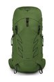 OSPREY σακίδια πλάτης - TALON 33 L/XL - πράσινο