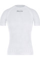 SANTINI κοντομάνικα μπλουζάκια - RETE - λευκό