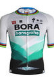 SPORTFUL κοντομάνικες φανέλα - BORA HANSGROHE 2021 - γκρί/πράσινο