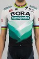 SPORTFUL κοντομάνικες φανέλα - BORA HANSGROHE 2021 - γκρί/πράσινο