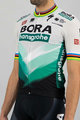 SPORTFUL κοντομάνικες φανέλα - BORA HANSGROHE 2021 - γκρί/πράσινο