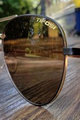 TIFOSI γυαλιά - SHWAE - χρυσό
