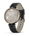 GARMIN smart watch - LILY - μαύρο/χρυσό