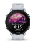 GARMIN smart watch - FORERUNNER 955 SOLAR - γκρί