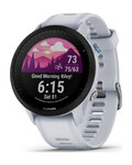 GARMIN smart watch - FORERUNNER 955 - γκρί