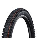 SCHWALBE κάπες - ALBERT GRAVITY PRO 29x2.50 EVOLUTION 67EPI - μαύρο