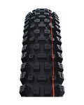 SCHWALBE κάπες - ALBERT GRAVITY PRO 29x2.50 EVOLUTION 67EPI - μαύρο
