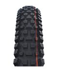 SCHWALBE κάπες - ALBERT TRAIL PRO 27.5x2.50 EVOLUTION 67EPI - μαύρο