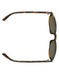 SCOTT γυαλιά - RIFF - καφέ/μαύρο