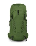 OSPREY σακίδια πλάτης - TALON 33 L/XL - πράσινο