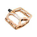 LEATT πεντάλ - ALLMTN 6.0 FLAT 114X100MM - μπρούντζος