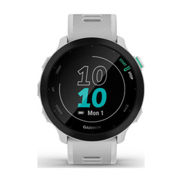GARMIN FORERUNNER 55 - γκρί