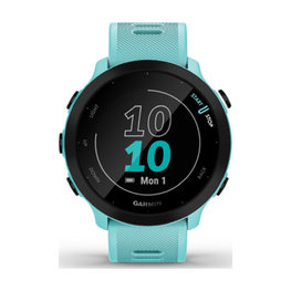 GARMIN smart watch - FORERUNNER 55 - γαλάζιο