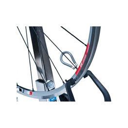 PARK TOOL Centerlocks - CENTERING KEY DT TORX T20 PT-SW-5C - γκρί