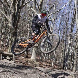 LIMAR Κράνη - DELTA MTB - πράσινο